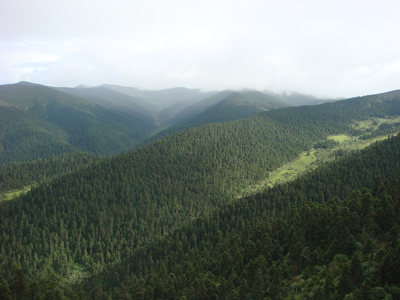 魯朗林海