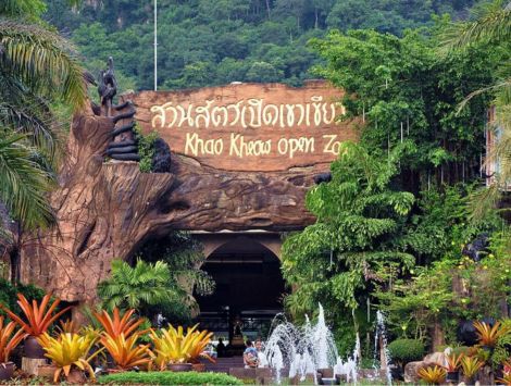 綠山國家動物園 Khao Kheow Open Zoo (乘遊園車)