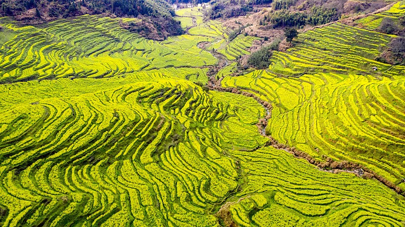 婺源篁嶺