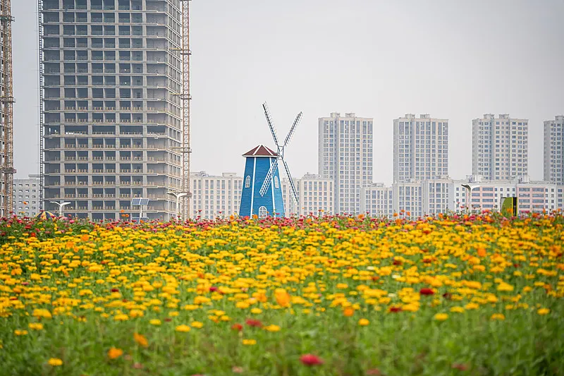 馬蘭圩花海公園