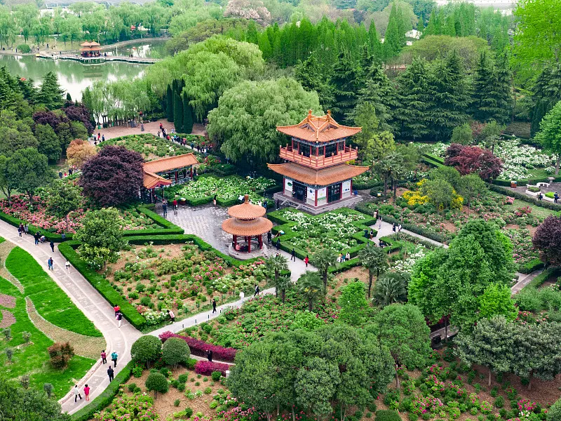 中國國花園