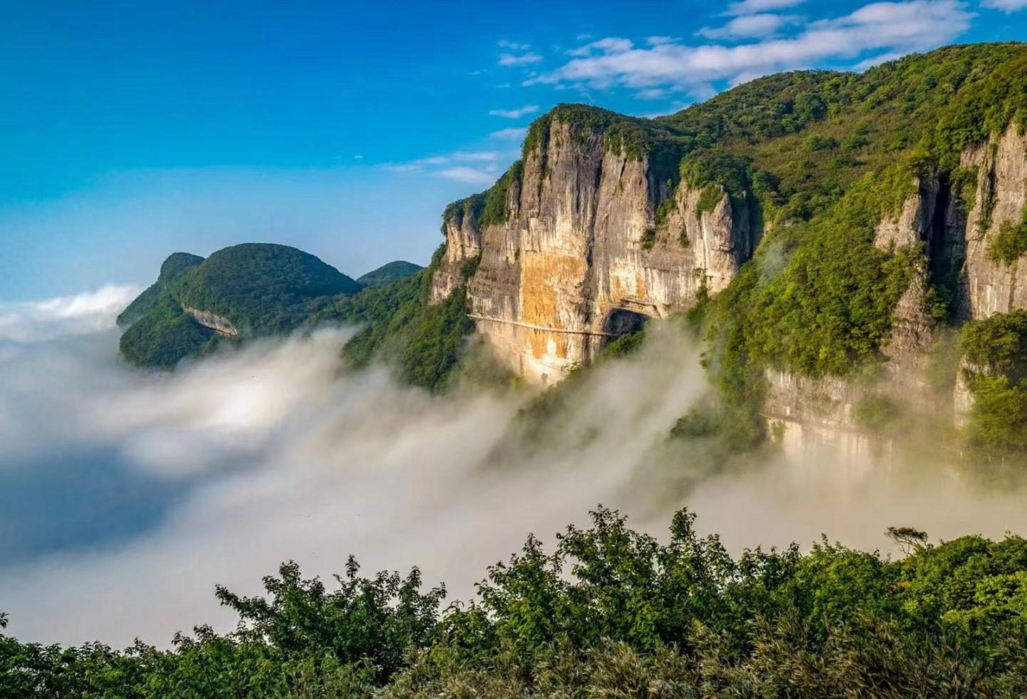 金佛山
