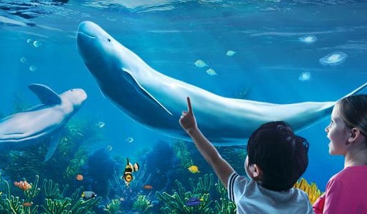 釜山水族館